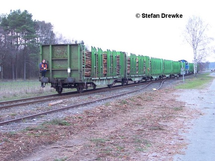 0160 Holztransport OHE-Strecke 6206