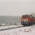 0001 Heidebahn im Winter