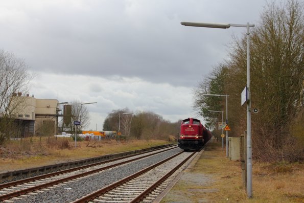 Rennsteigbahn 213 339 mit Holzzug in Visselhövede