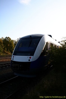 068 Erixx in Munster 19.10.2011