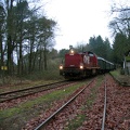 Nikolaus-Express 19