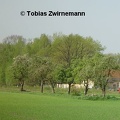 Ameisenbaer Walsrode 2004 Bild 03