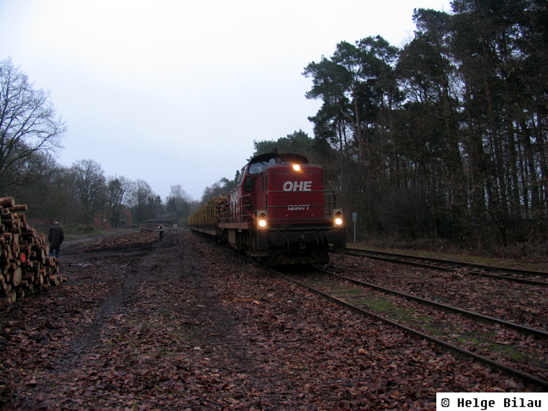Nikolaus-Express 17