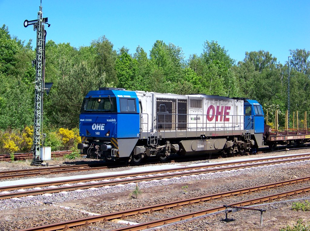0161 OHE 1460 mit Holzzug