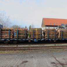 Holztransportwagen Typ Sps